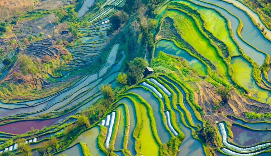 宝妈必备神器：宜春产品视频拍摄轻松育儿好帮手